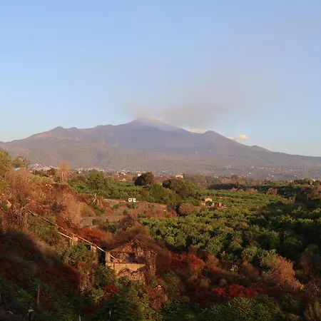 Il Pampaleone Glamping And Acireale